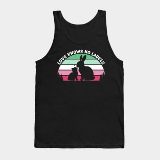 Abrosexual Pride Flag Lgbtq Abro Month Tank Top